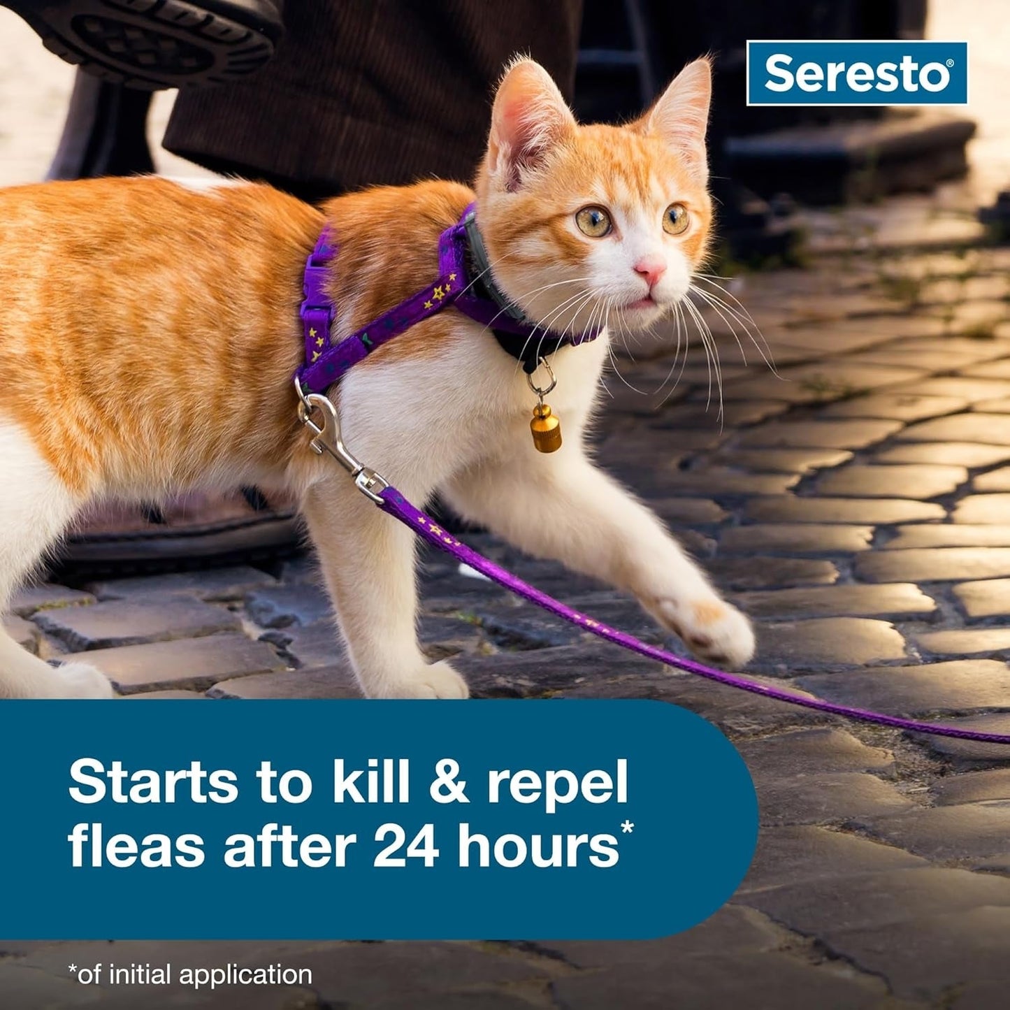 Seresto Cat Vet-Recommended Flea & Tick Treatment & Prevention Collar for Cats | 8 Months Protection